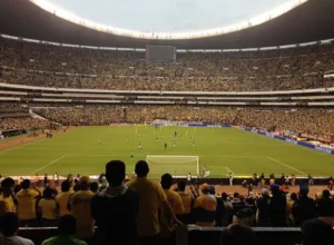 杨紫球场篮,球飞扬,歌声魅力男,太阳城,太阳城入口,太阳城平台,太阳城官方